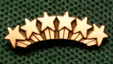 Founders Award Pin